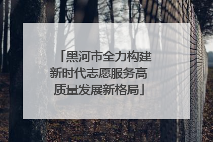 黑河市全力构建新时代志愿服务高质量发展新格局